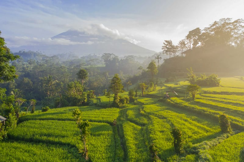 Mount Batur Sunrise Trek